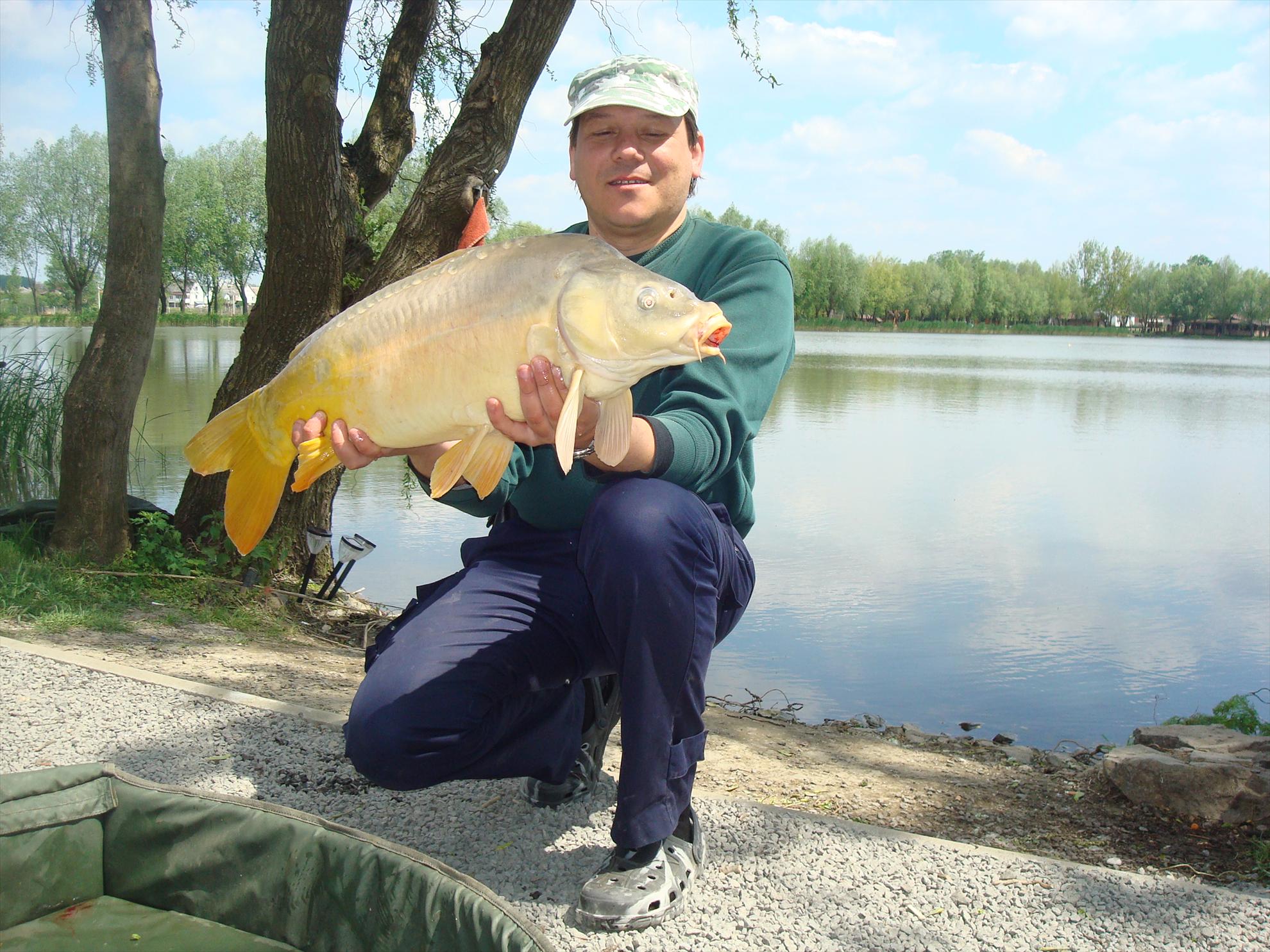 pescuit pe o balta superba - dsc07485.JPG